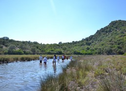 Traversée de la rivière