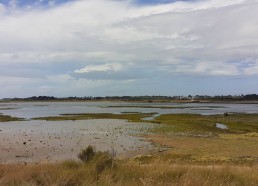 Paysage de l’île d’Arz