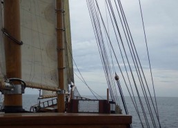 Le Bora Bora fait route à la voile