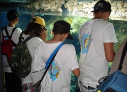 Les matelots observent les poissons de l’aquarium de Monaco