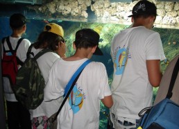 Les matelots observent les poissons de l’aquarium de Monaco