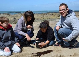 Les Matelots observent leur pêche avant de la remettre à la mer