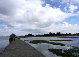 Paysage de l’île d’Arz