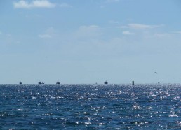 L’arrivée des bateaux de pêche côtière