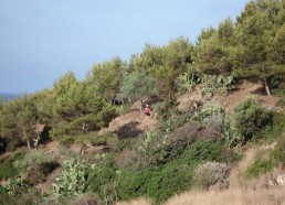 Les matelots découvrent le chemin côtier d’Ustica