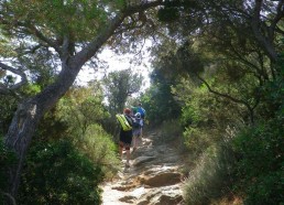 En route vers la plage du Palud