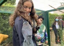 Coup de foudre entre Maïssa et le corbeau 