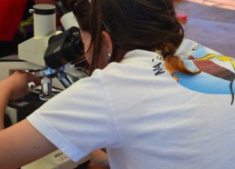 |Les microscope du CDMM permettent aux Matelots de la vie de découvrir le plancton 