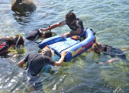 Découverte des petits trésors de la mer