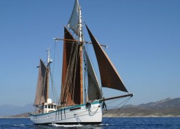 Arrivée sur l’île Rousse