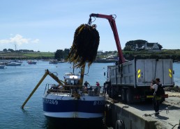 Un goémonier au retour de pêche