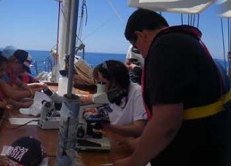 Le mistral s’est calmé, les matelots profitent de cette mer plate pour étudier le plancton 