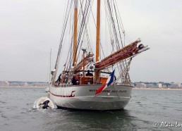 Dans la baie de Pornichet – La Baulet - Photos © Alain LORET