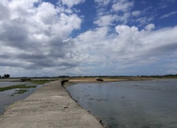 Paysage de l’île d’Arz