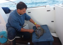 Antoine s’attaque à vider les poissons