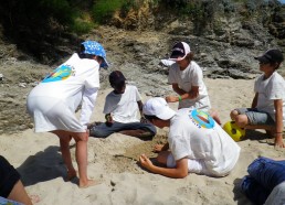 Jeux sur la plage