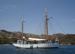 Arrivée à Saint Florent