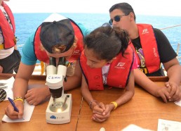 Les matelots observent la vie sous-marine microscopique