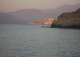 Calvi