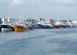 Le port du Guilvinec