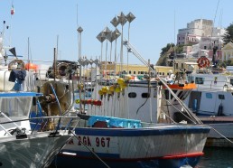 Le petit port de Ponza