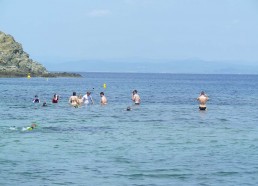 Les Matelots observent les poissons sous l’eau