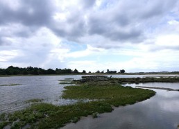 Paysage de l’île d’Arz