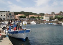 Pêcheur à Barcaggio