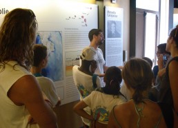 Visite au centre de vulcanologie : les matelots trouvent les réponses à leurs questions sur le volcanisme…