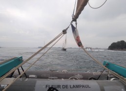 À l’entrée du Golfe suivi par le Lys noir