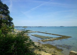 Vue sur le parc ostréicole de Pierre Martin