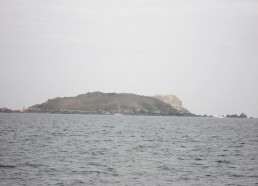 Dans l’archipel des Sept Iles, l’île Rouzic où l’on va observer des fous... 