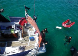 Baignade depuis le bateau