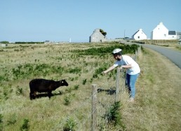 Romane qui murmurait à l’oreille d’un mouton