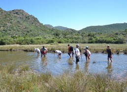 Les matelots en rivière