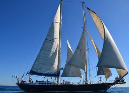 Les matelots ont hissé les voiles 