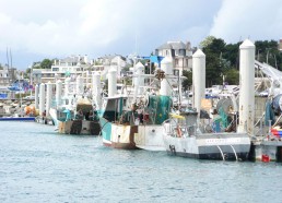 Le port de Saint-Quay-Portrieux