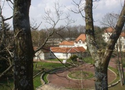 Vue de Bullion du haut des arbres