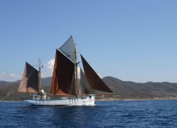 Arrivée sur l’île Rousse