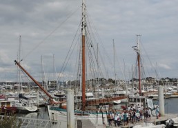 Fleur de Lampaul à Pornichet