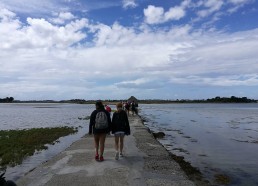 En direction du moulin à marée