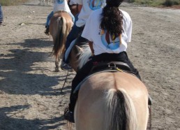 Les matelots assurent à cheval !