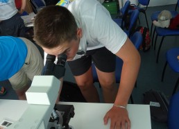 Hugo observe le zooplancton au microscope