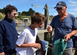 Les matelots ont réussi à pêcher quelques crevettes