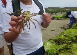 Loïc impressionné par la force du crabe