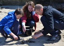 Les Matelots observent leur pêche avant de la remettre à la mer