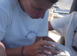 Melissa et les matelots font des observations pour le Centre de découverte du monde marin de Nice et pour la base scientifique de la Stareso en Corse…