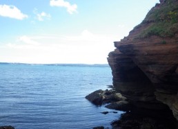 Côté de Torquay