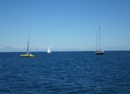 Happy de Loïck Peyron et le Pen Duick VI de Marie Tabarly arrivent nous rejoindre