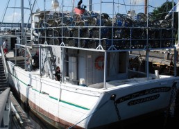 Les matelots visitent les bateaux du Port-musée